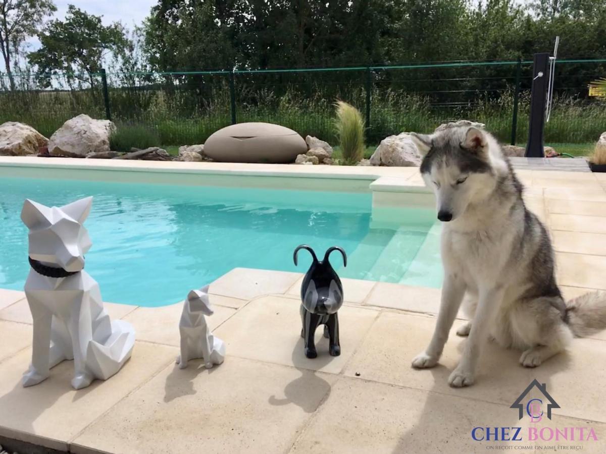 Hotel Chez Bonita Chouzy-sur-Cisse Zewnętrze zdjęcie
